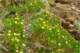 imgp2835_small.jpg