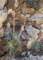 imgp2837_small.jpg