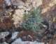 imgp2838_small.jpg