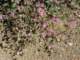 imgp2839_small.jpg