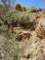 imgp2843_small.jpg