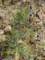 imgp2844_small.jpg