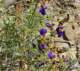 imgp2844b_small.jpg