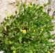 imgp2845_small.jpg