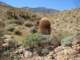 imgp2848_small.jpg