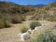 imgp2849_small.jpg