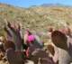 imgp2851_small.jpg