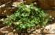 imgp2852_small.jpg