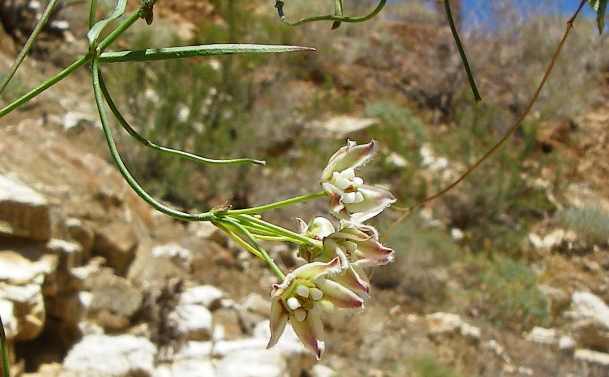 imgp2854.jpg