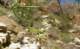 imgp2854_small.jpg
