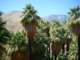 imgp2858_small.jpg