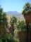 imgp2859_small.jpg