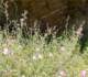 imgp2861_small.jpg