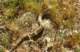 imgp2866_small.jpg