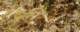 imgp2869_small.jpg