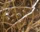 imgp2871_small.jpg