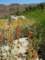 imgp2875_small.jpg