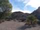 jtree014_small.jpg