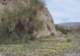 jtree054_small.jpg