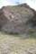 jtree059_small.jpg