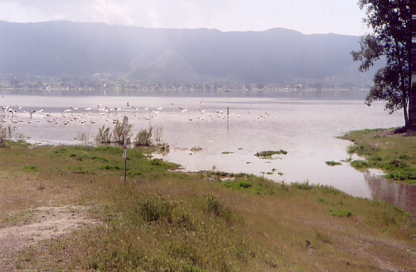 Lake Elsinore fills to the outlet, 1st time in over 20 years, thanks to heavy winter rains, 2/2005