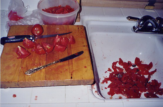 Peeling tomatoes for salsa, 7/2003