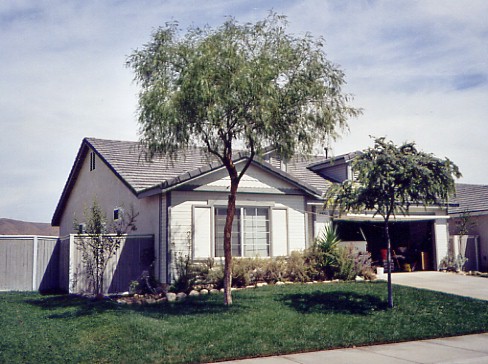 Lovely day at home, 11/2003