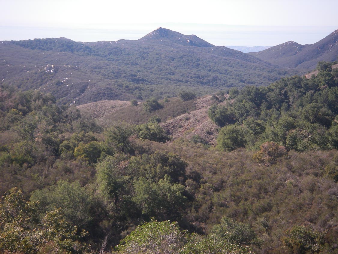 View to Catalina Island from the Santa Ana Mountains near Blue Jay campground 1/14/2009