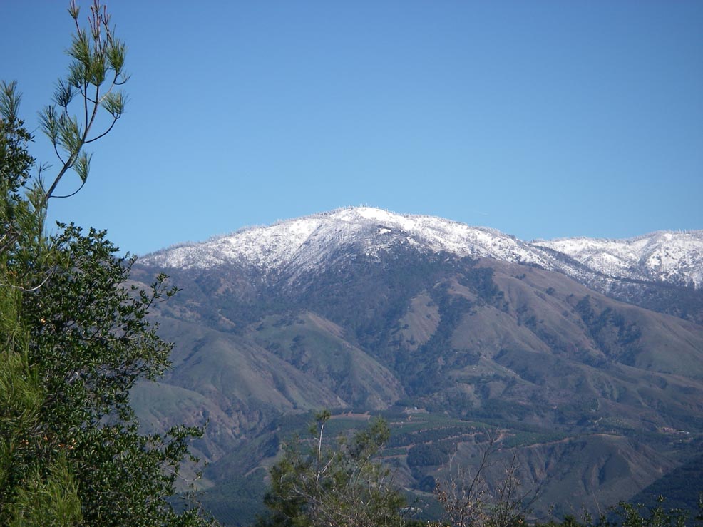 Palomar Mountain after a storm 2/10/2009