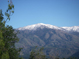 Palomar Mountain after a storm 2/10/2009