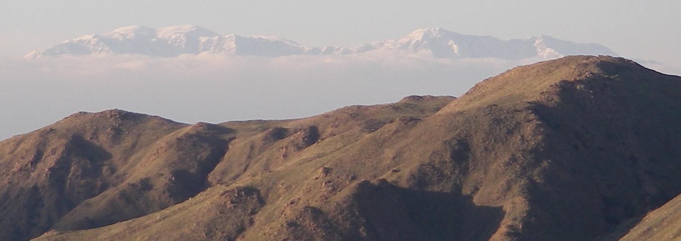 Mt. Baldy, Cucamonga Peak and Lytle Peak with Mt. Estelle in the foreground as seen from my back yard 2/14/09