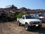 A day at El Sobrante landfill after I trimmed my trees 5/22/2009
