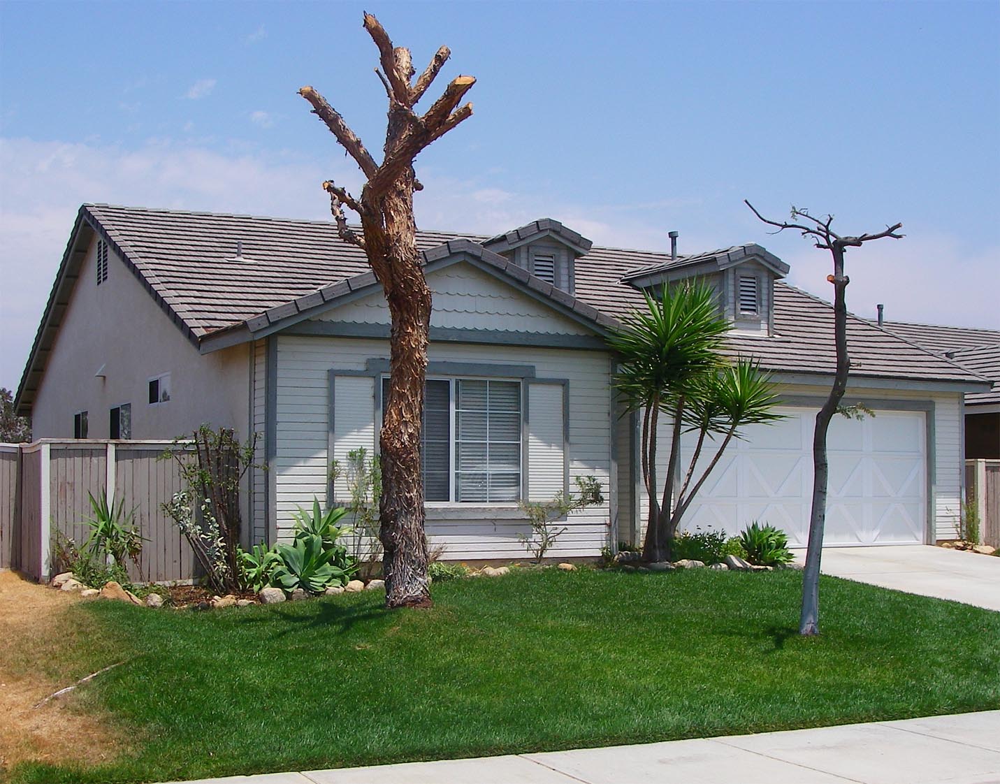 My house after I trimmed the trees and shrubbery 5/27/2009
