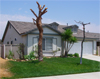 My house after I trimmed the trees and shrubbery 5/27/2009