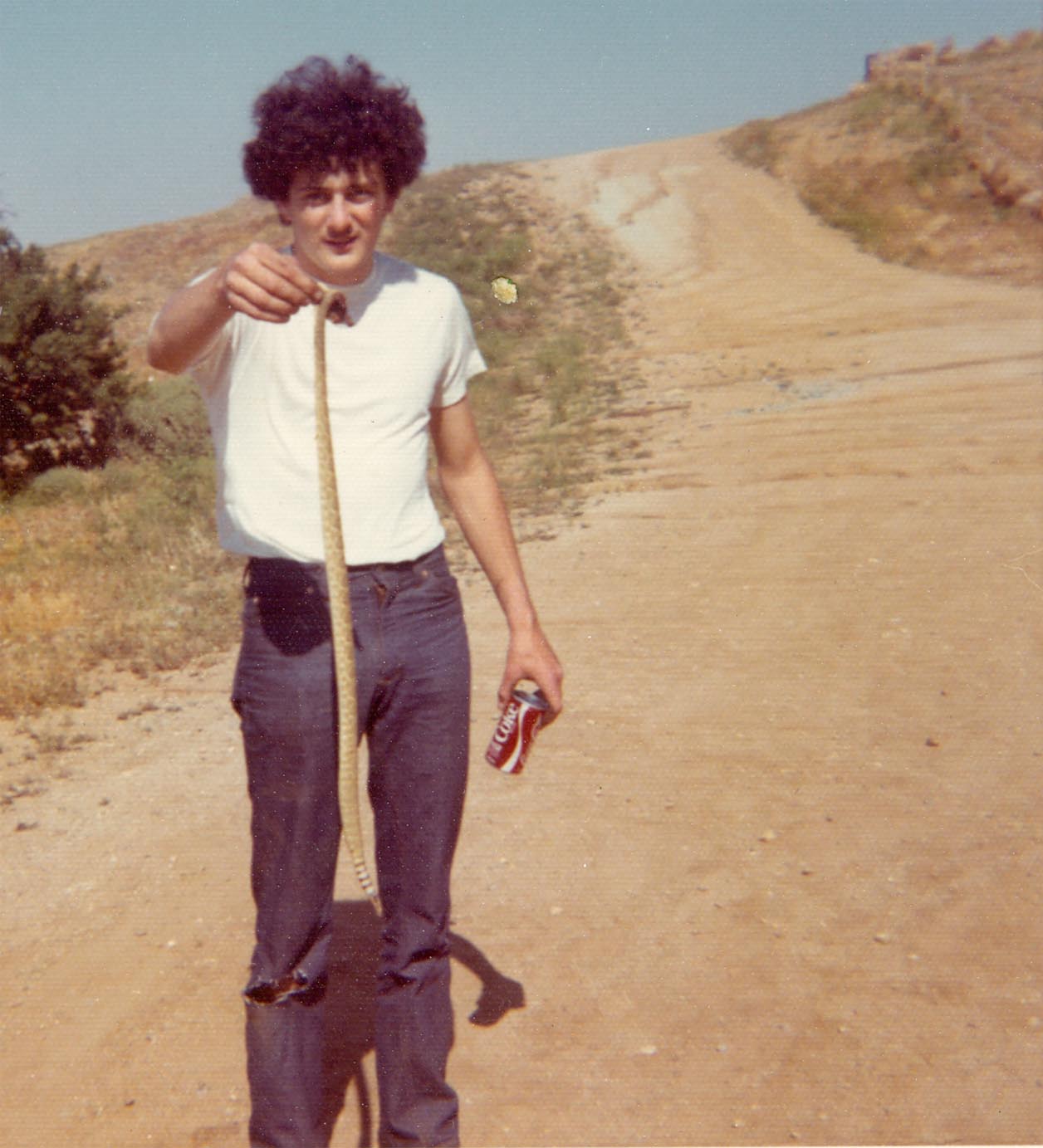 Mike Dufish shot this Mojave rattlesnake near Ave. M west of Quartz Hill ca. 1972.