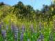 imgp3126_small.jpg