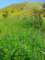 imgp3127_small.jpg