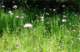 imgp3128_small.jpg