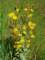 imgp3129_small.jpg