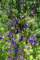 imgp3130_small.jpg