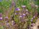 imgp3131_small.jpg