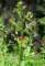 imgp3136_small.jpg