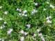 imgp3140_small.jpg