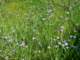 imgp3141_small.jpg