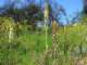 imgp3145_small.jpg