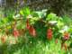 imgp3148_small.jpg