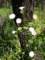 imgp3150_small.jpg