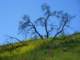 imgp3154_small.jpg