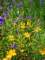 imgp3156_small.jpg