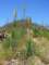 imgp3157_small.jpg